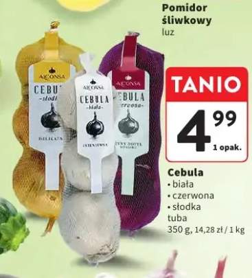 Cebula czerwona tuba +2 warianty