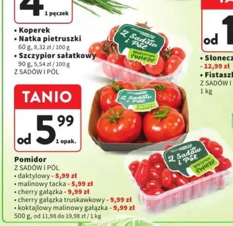 Pomidor daktylowy Z Sadów I Pól +4 warianty