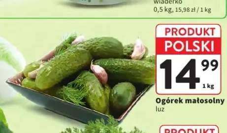Ogórek małosolny
