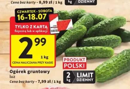 Ogórek gruntowy luz