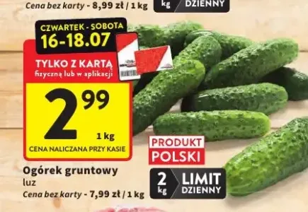 Ogórek gruntowy luz