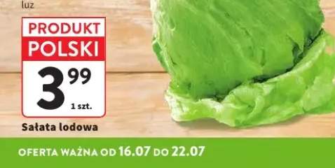 Sałata lodowa