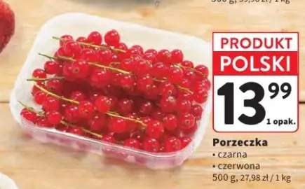 Porzeczka czarna polska +1 wariant