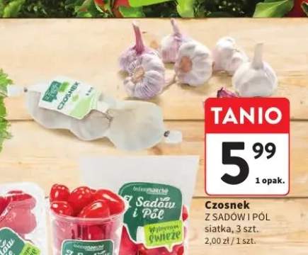 Czosnek Z Sadów i Pól