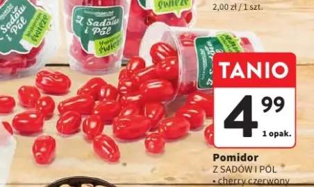 Pomidor cherry czerwony Z Sadów i Pól +2 warianty
