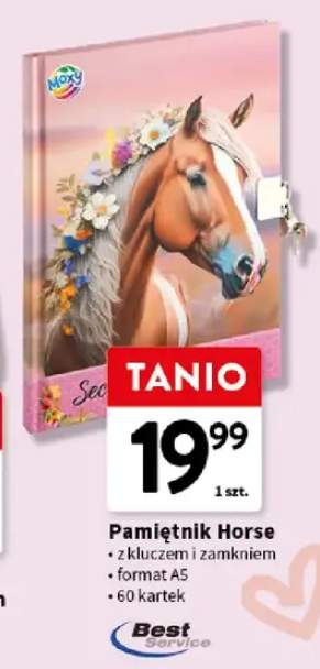 Pamiętnik Horse Moxy