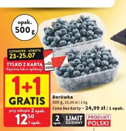 Borówka