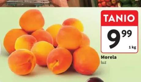 Morela luz