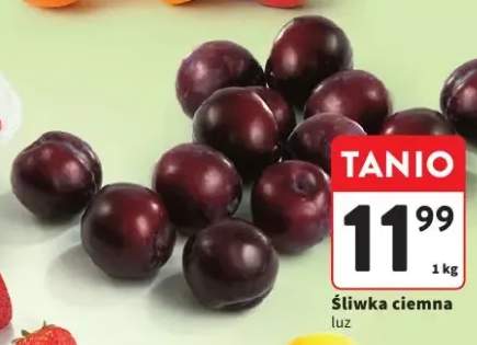 Śliwka ciemna luz