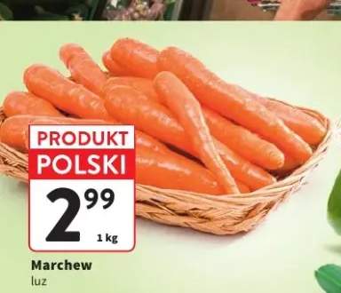 Marchew luz polska