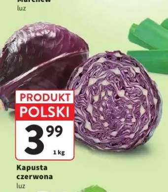 Kapusta czerwona luz polska