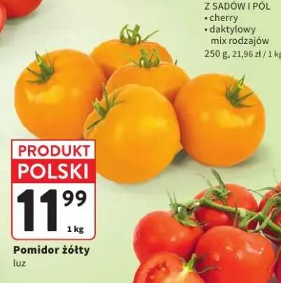 Pomidor żółty luz