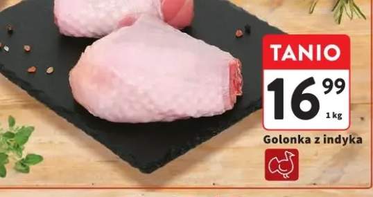 Golonka z indyka