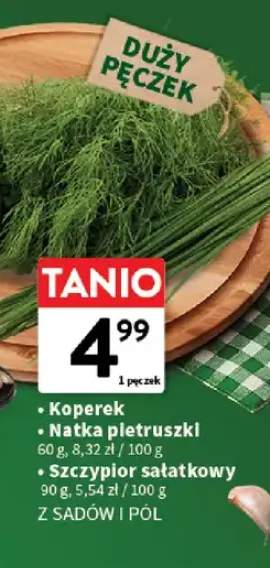 Koperek Z Sadów i Pół