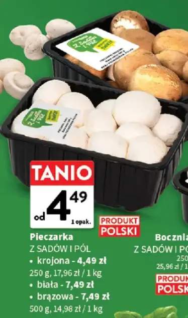 Pieczarka brązowa Z Sadów i Pół +1 wariant