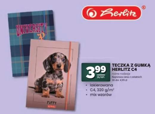 teczka z gumką