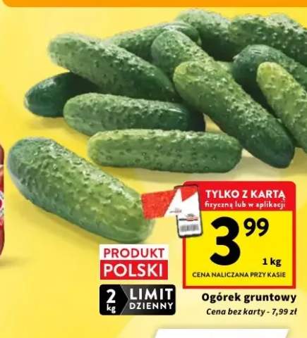 Ogórek gruntowy
