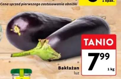 Bakłażan luz