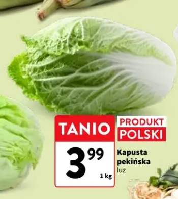Kapusta pekińska luz