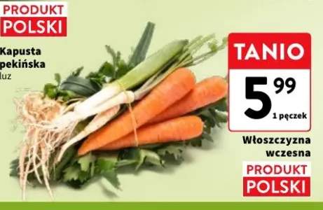 Włoszczyzna wczesna