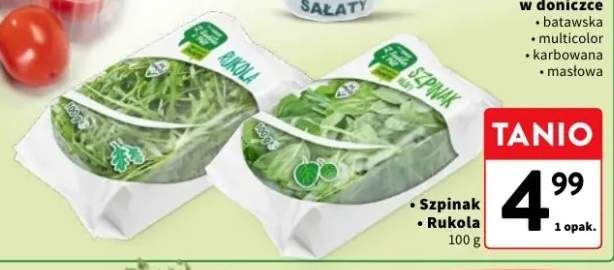 Rukola Z Sadów i Pól
