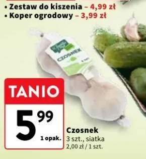 Czosnek Z Sadów i Pól 3-pak