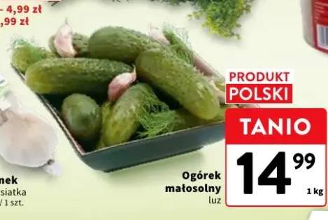 Ogórek małosolny luz