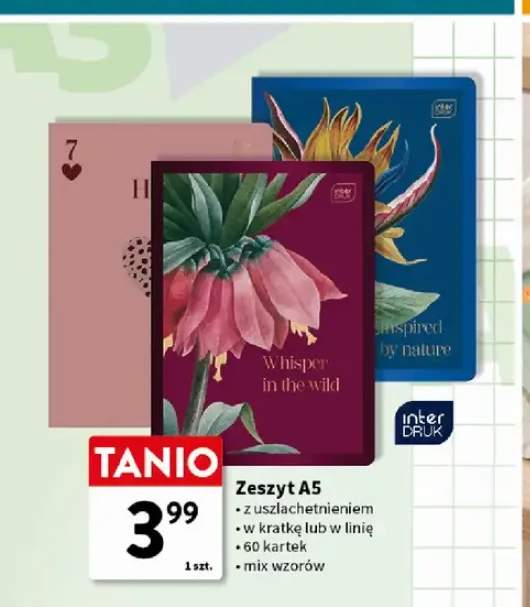 Zeszyt A5 w kratkę 60 kartek Interdruk +1 wariant