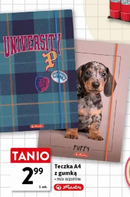 Teczka Herlitz A4 z gumką
