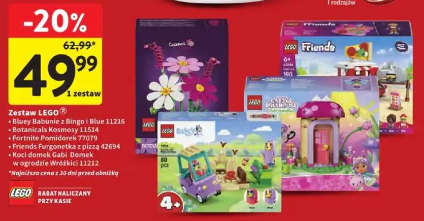 Klocki LEGO Bluey Babunie z Bingo i Blue 11216 +5 wariantów