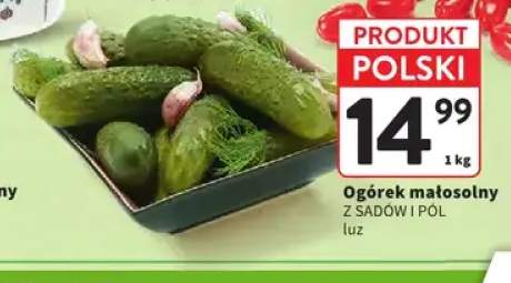 Ogórki małosolne Z Sadów i Pól