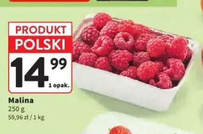 Maliny polskie