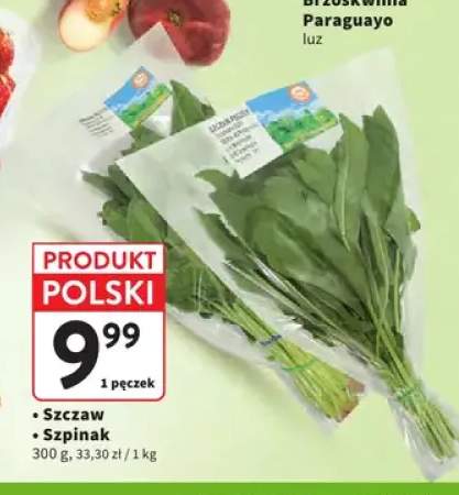 Szczaw polski +1 wariant