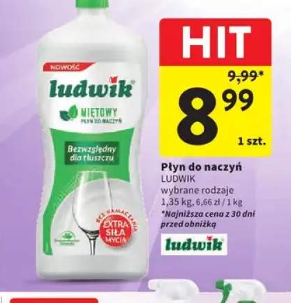 Płyn do naczyń Ludwik