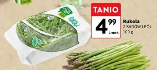 Rukola Z Sadów i Pól