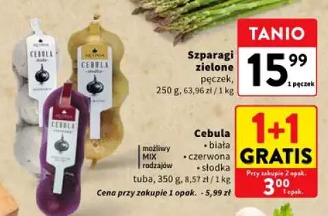 Cebula biała +2 warianty