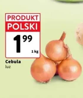 Cebula polska