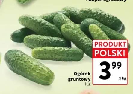Ogórki gruntowe polskie