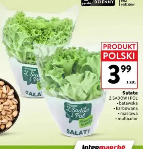 Sałata batawska Z Sadów i Pól +3 warianty
