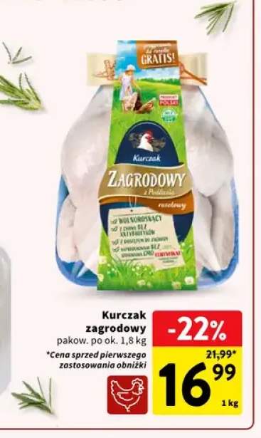 Kurczak