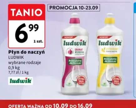 Płyn do naczyń Granat Werbena Ludwik +1 wariant