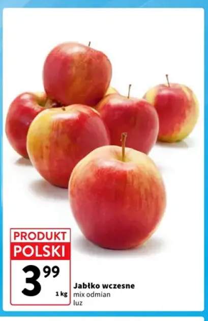 Jabłka wczesne polskie