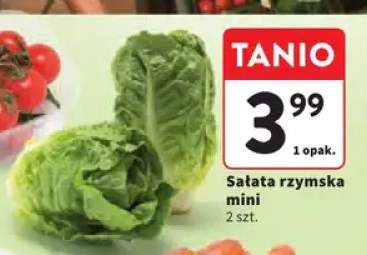 Sałata rzymska mini