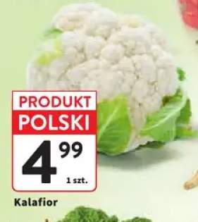 Kalafior