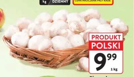 Pieczarki