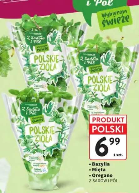 Bazylia Z Sadów i Pól +2 warianty