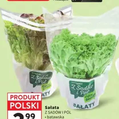 Sałata batawska Z Sadów i Pól +3 warianty