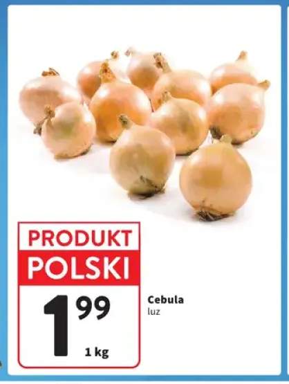 Cebula polska