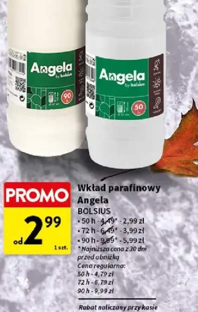 Chryzantema pojedyncza Goliat