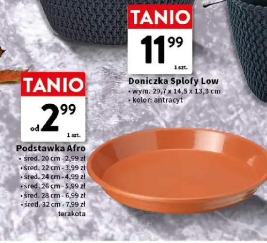Zapalarka okrągła Kost +2 warianty